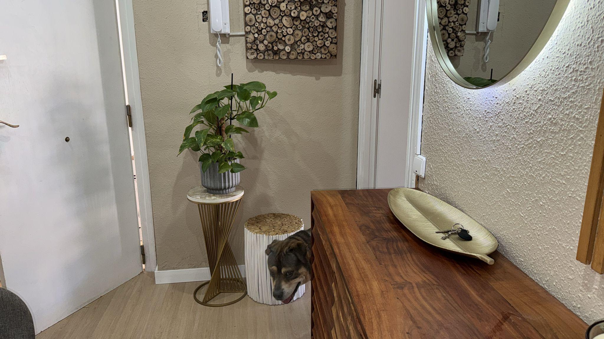 Imagen 17 Apartamento en venta en Tordera /    Tordera Barcelona